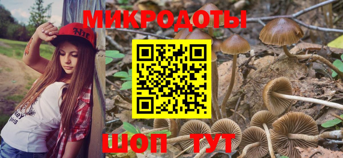 Псилоцибиновые грибы GOLDEN TEACHER Гай