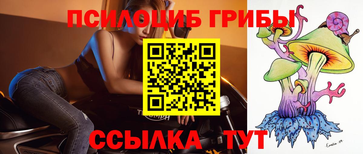 Гай  Псилоцибиновые грибы Cubensis  Вход с VPN 